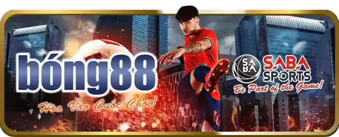 Tiền thưởng nạp lại hàng ngày cho các cược thể thao